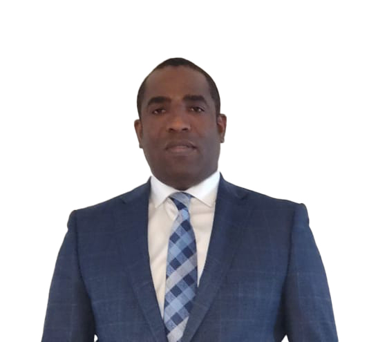 team image